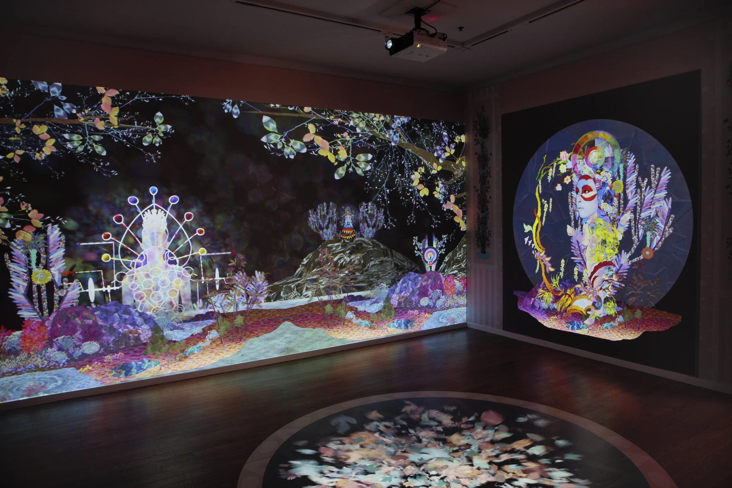 Field Notes from the Empathic Universe — SAYA WOOLFALK